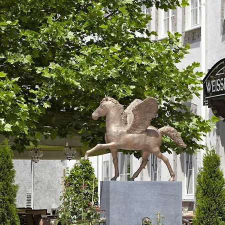 Ξενοδοχείο Weisses Ross 4*